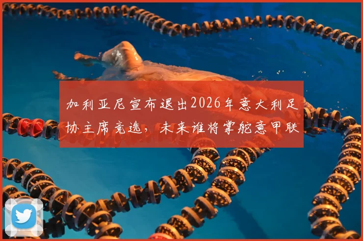 加利亚尼宣布退出2026年意大利足协主席竞选，未来谁将掌舵意甲联赛？